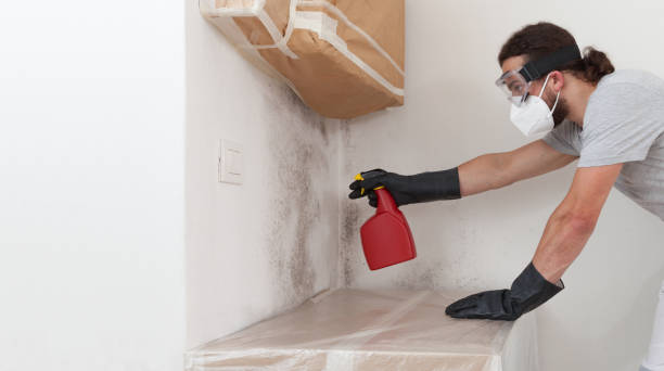 Professional Black Mold Removal technician working in Salem, NJ