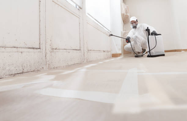 24/7 Emergency Black Mold Removal experts in Salem, NJ